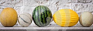 Panorama with different melons photo