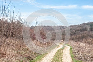 Panorama of a dirt path, an old trail and rural walkway, by a forest near barajevo, serbia, under a grey sky in winter, in the