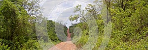 Panorama of dirt road in the remote Amazon jungle between the border of Bolivia and Brazil showing the roads less travelled photo