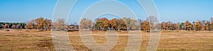 Panorama of dried up pond and colourful autumn trees in nature r