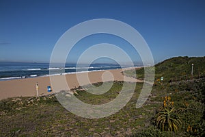Panorama of Durban Coastline featuring Aloes in Dune Rehabilition