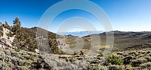 Panorama of Eastern Sierra Mountains from Ancient Bristlcone Pi