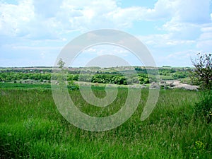 Landscapes of blooming spring nature of the Zaporizhia steppes and forests in the south of Ukraine.
