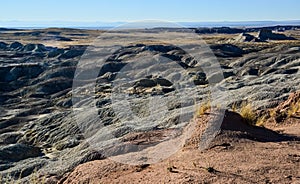 Panorama erosive multi-colored clay in Petrified Forest National Park, Arizona photo