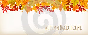 Pokles podzim barvitý listy 