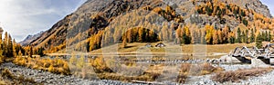 Panorama of the famouse Roseg Valley in golden fall season