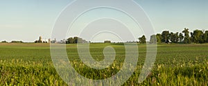 Panorama of a farm and fields on a sunny spring evening in Minnesota