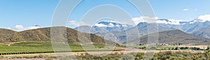 Panorama of farm landscape with Swartberg mountains near Hoeko