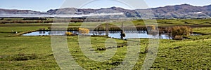 Panorama farm scene, Central Otago