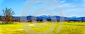 Panorama of Farmland near the Matsqui at the towns of Abbotsford and Mission in British Columbia, Canada