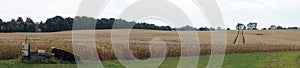 Panorama of field