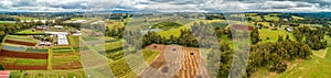 Panorama of fields, meadows, and pastures.