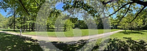 Panorama of first days of summer in a park, long shadows, blue sky, Buds of trees, Trunks of birches, sunny day, green