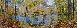 Panorama of the Fletcher Creek bend in fall, Mississauga, ON, Canada