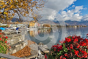 Panorama with flowers of Vevey, canton of Vaud, Switzerland