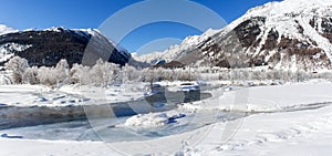 Panorama of forest covered with frost in a winter coldness along river bank