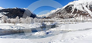 Panorama of forest covered with frost in a winter coldness along river bank photo