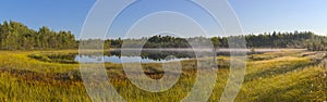 Panorama of a forest lake and marsh