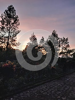 Panorama forest villa sunset redsky