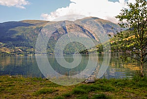 Panorama of forested mountains, fjord and village. Norwegian landscape. North Sea, Norway