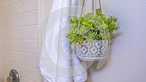 Panorama frame Home bathroom interior with towel and hanging plant beside the built in bathtub