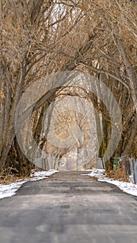 Panorama frame Paved road with chain link and barbed wire fence amid a snow covered terrain
