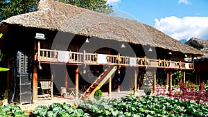 Panorama front yard garden of traditional Vietnamese house high stilts, palm leaf-roofed in Sapa, Vietnam, row trench of leafy