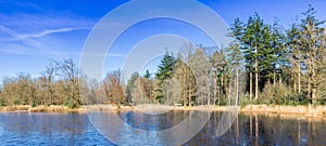 Panorama of a frozen lake in national park Drents Friese Wold