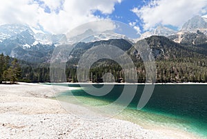 Panorama of the gentle shore of Tovel lake with emerald water and alpine mountain ranges covered with forest and snow