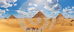 Panorama of Giza with the Pyramids, camels and a bedouin