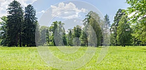 Panorama of a glade in a park