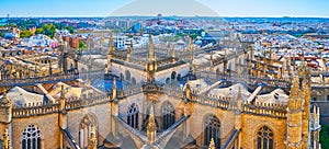 Panorama of Gohic Seville Cathedral from Giralda tower, Spain