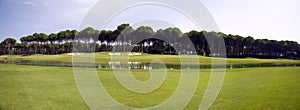 Panorama of golf club, green grass