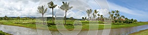 Panorama-Golf Course in Priceville, Kauai, Hawaii