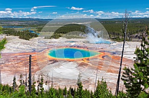 Grand Prismatic Spring in Yellowstone National Park. photo