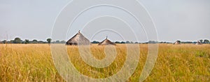 Panorama of grassland of south sudan