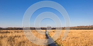 Panorama of the gravel path  in the Noordsche Veld nature reserve