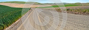 Panorama of a gravel road through farm fields in the Palouse region of southeastern Washington, USA