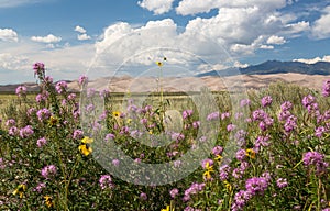 Panorama of Great Sand Dunes NP