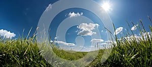 Panorama of green grass on clear blue sky with some clouds, typical of nature in spring