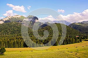 Panorama from green high tatra beskids mountains with lake and waterfalls