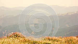 Panorama of green hills in foggy mountains.