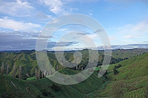 Green hills of the forgotten world highway, New Zealand