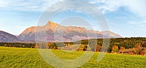 Panorama of green meadow with small forest and mount Krivan peak - Slovak symbol - in distance, blue sky above