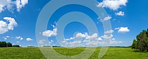 Panorama green meadows and fields. White clouds in the blue sky