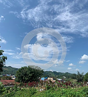 Panorama greennature