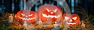 Panorama of Halloween pumpkin head jack o lanterns with burning candles in scary deep night forest. Halloween holiday design
