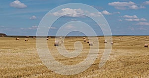 Panorama among harvested rye and wheat fields with Hay bales in summer day with beautiful cirrocumilus clouds