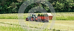 Panorama Hay harvest in agriculture