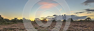 Panorama of heathland landscape